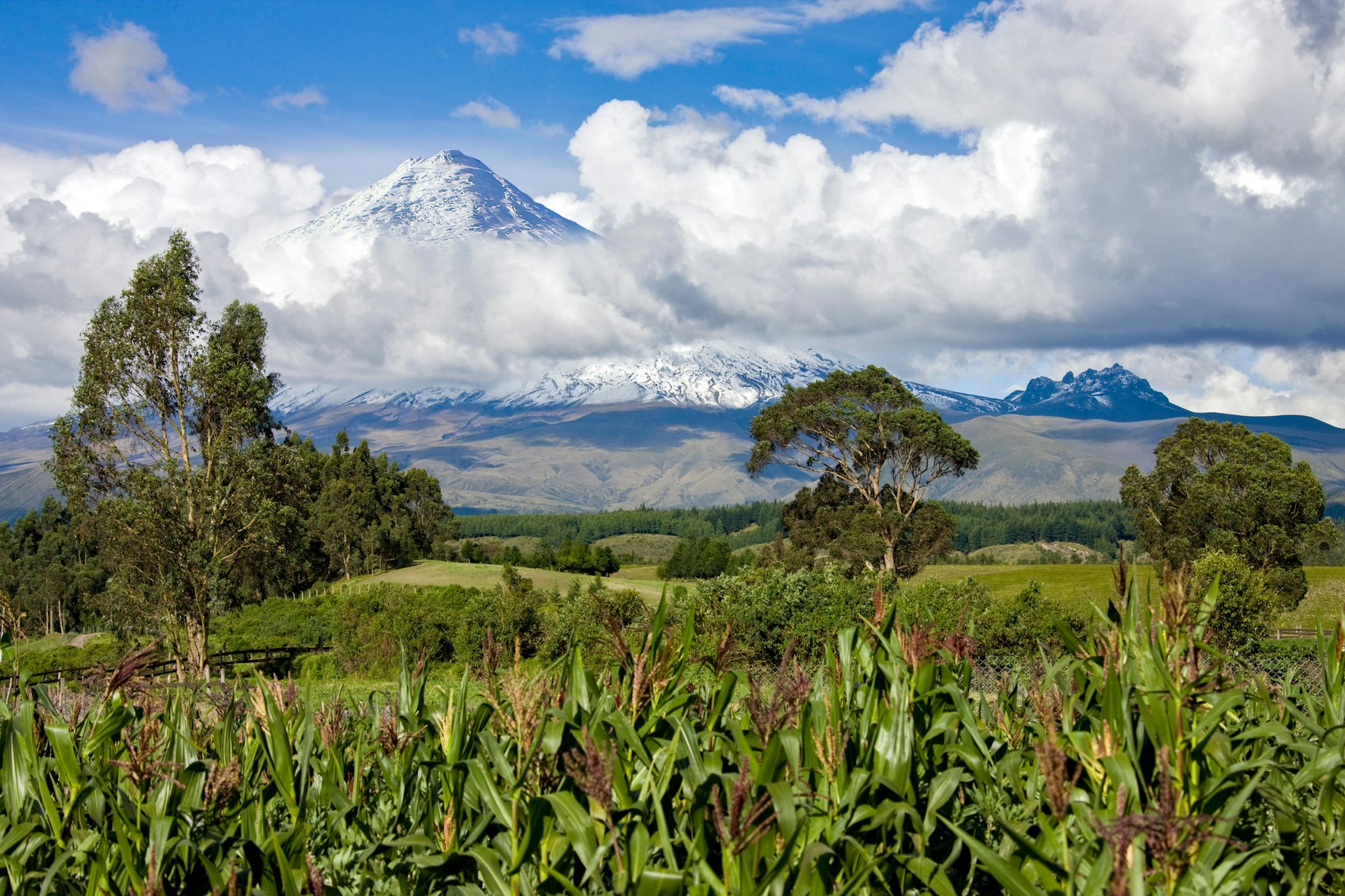 viaje a Ecuador