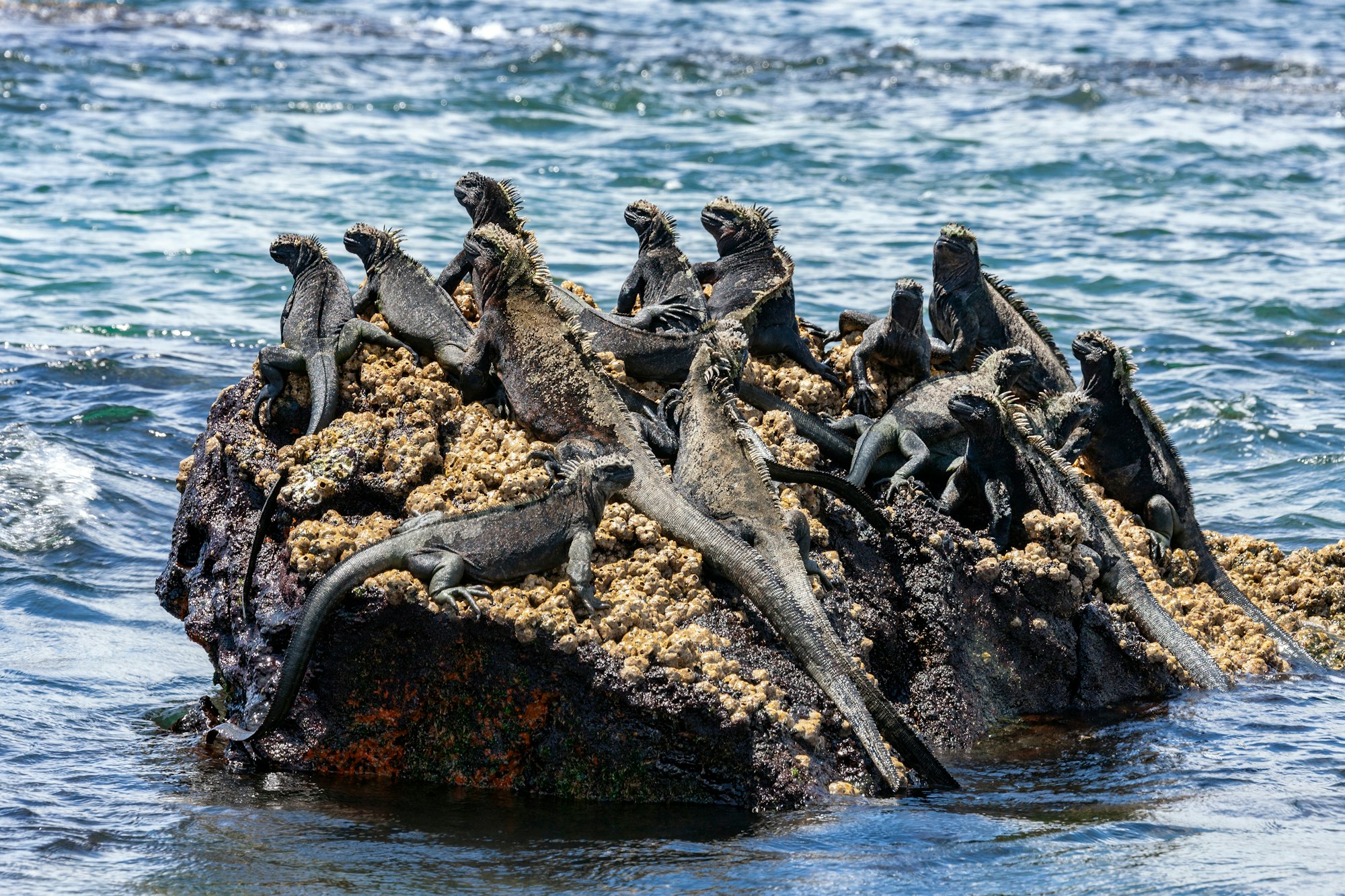 viaje a Ecuador y Galápagos
