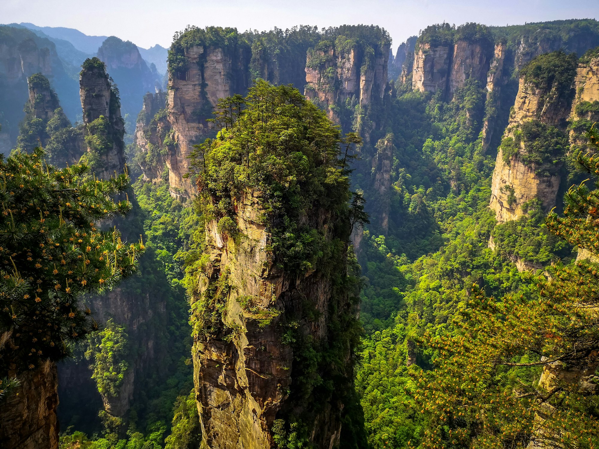 viaje a China Pekín Xian Zhangjiajie Shanghái