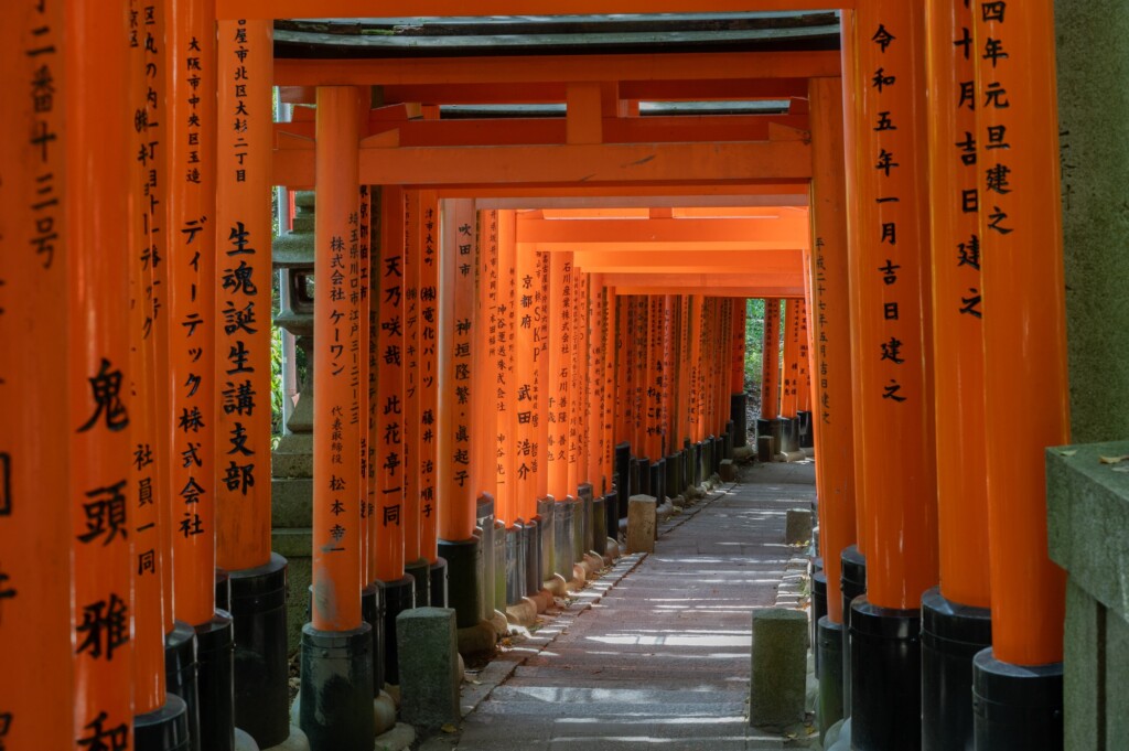 viaje por Japón tradicional y moderno
