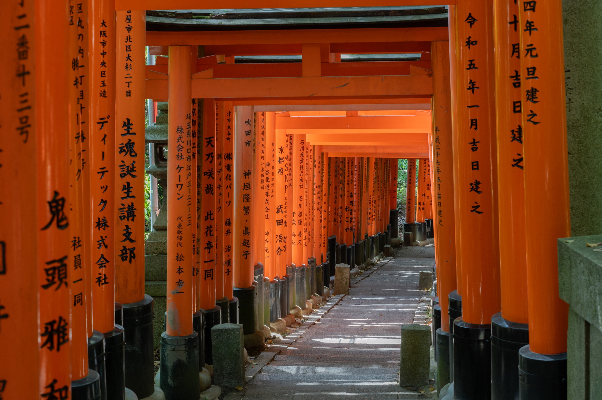 viaje por Japón tradicional y moderno
