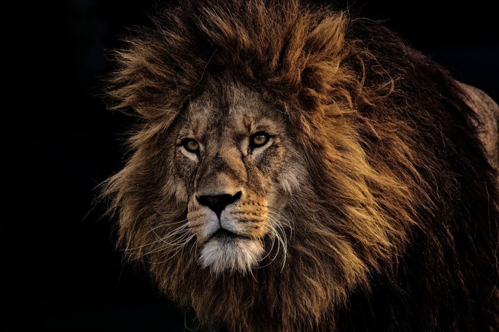 África