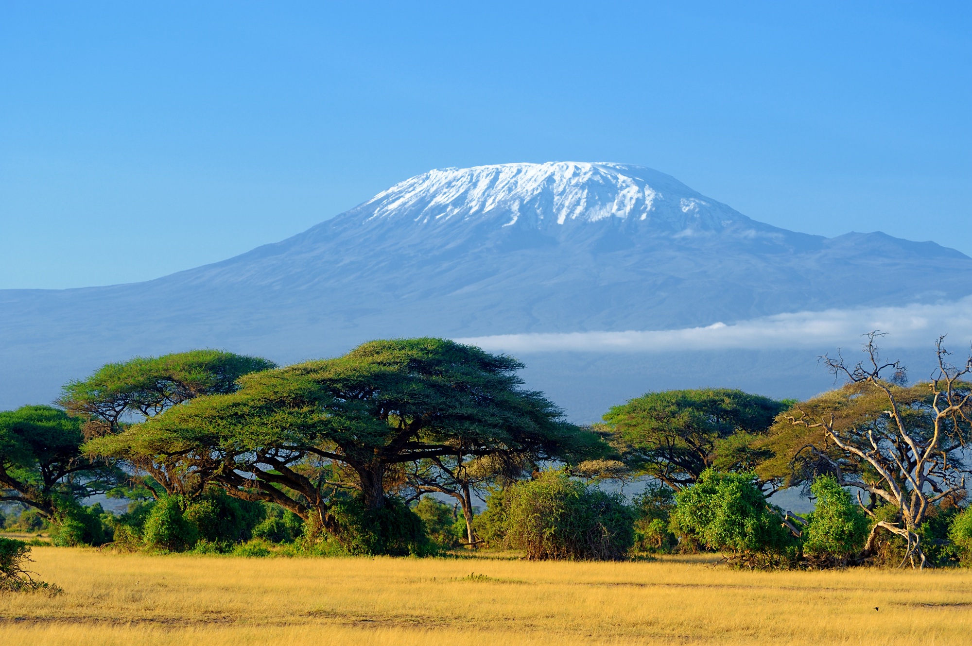ascenso al Kilimanjaro por la ruta Marangu