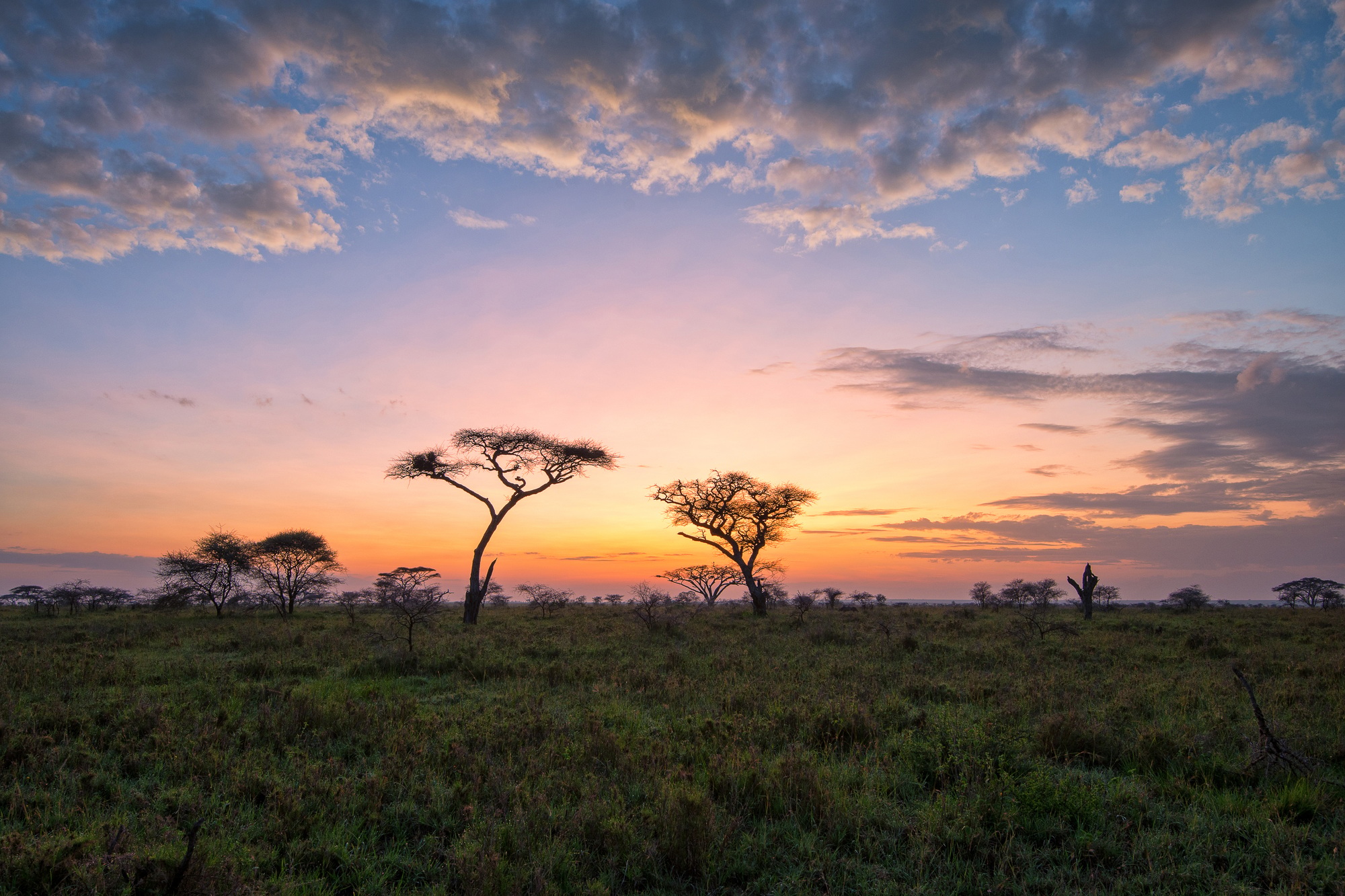 luna de miel en Tanzania